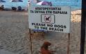 Απαγορεύονται οι σκύλοι στις παραλίες της Λάρνακας - Φωτογραφία 2