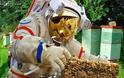 ΑΠΙΣΤΕΥΤΟ: Φόρεσε στολή αστροναύτη και μάζεψε το μέλι στα Τρίκαλα [photo] - Φωτογραφία 2