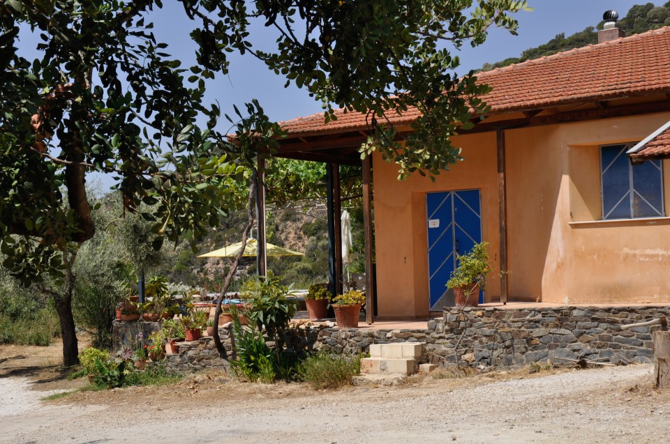 Ο Μάριο Ζόμερ χτίζει σπίτια στην Κρήτη με λάσπη και μουχλιασμένο κασέρι - Φωτογραφία 10