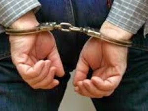 Σύλληψη 12 ατόμων στα πλαίσια ελέγχων για την καταπολέμηση του παρεμπορίου στη Θεσσαλία - Φωτογραφία 1