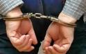 Σύλληψη 12 ατόμων στα πλαίσια ελέγχων για την καταπολέμηση του παρεμπορίου στη Θεσσαλία