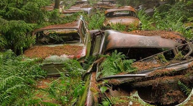 Οχήματα από το Δεύτερο Παγκόσμιο Πόλεμο ανακαλύφθηκαν σε νεκροταφείο αυτοκινήτων στο Βέλγιο! [photos] - Φωτογραφία 1