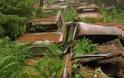 Οχήματα από το Δεύτερο Παγκόσμιο Πόλεμο ανακαλύφθηκαν σε νεκροταφείο αυτοκινήτων στο Βέλγιο! [photos] - Φωτογραφία 1