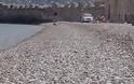Πάτρα: Ελληνάρες με τζιπ στις παραλίες του Ρίου - Μαρσάρουν με κίνδυνο να τραυματίσουν λουόμενους
