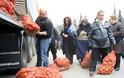 Σάββατο 28/04/2012 το κίνημα της πατάτας στη Μυτιλήνη