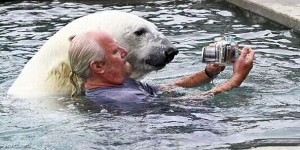 Κολυμπώντας «αγκαλιά» με μια πολική αρκούδα! [Video] - Φωτογραφία 1