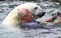 Κολυμπώντας «αγκαλιά» με μια πολική αρκούδα! [Video]