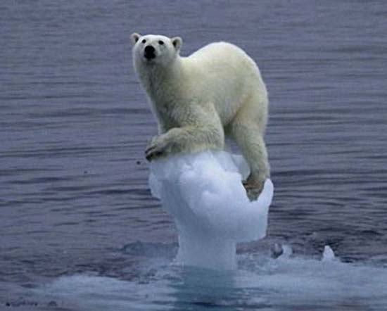 Άνθρωποι που αντί να βοηθήσουν… έπιασαν την φωτογραφική μηχανή! - Φωτογραφία 10