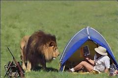 Άνθρωποι που αντί να βοηθήσουν… έπιασαν την φωτογραφική μηχανή!