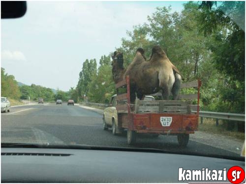 Οχήματα φορτωμένα όσο δεν πάει άλλο...! (pics) - Φωτογραφία 10