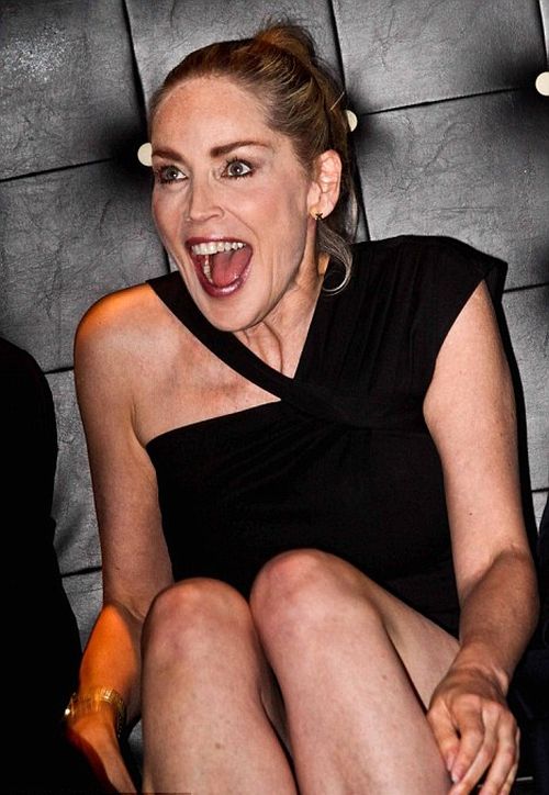 Η Sharon Stone ψώνισε νεαρό Αργεντινό top model για one night stand (Photos) - Φωτογραφία 4