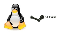 Έρχεται το Steam για Linux! - Φωτογραφία 1