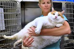 Οι καλύτερες φωτογραφίες τις εβδομάδας με ζωά [29 pics]