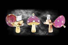 «Μαγικό μανιτάρι»: To ακριβότερο USB!