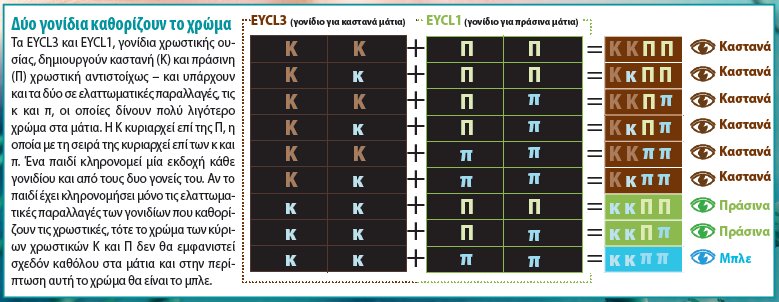 Στο μέλλον θα έχουν όλοι καστανά μάτια!! - Φωτογραφία 2