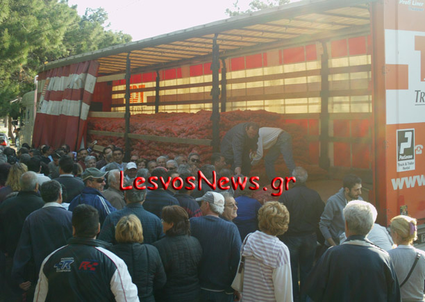 Έγινε της...πατάτας στη Λέσβο - Φωτογραφία 3