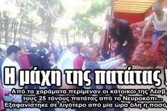 Έγινε της...πατάτας στη Λέσβο