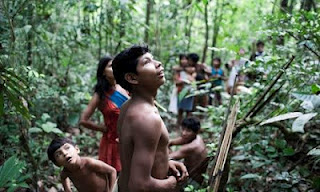 Οι ξυλοκόποι «εξαφανίζουν» τους ιθαγενείς του Αμαζονίου - Φωτογραφία 1