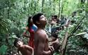 Οι ξυλοκόποι «εξαφανίζουν» τους ιθαγενείς του Αμαζονίου