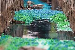 Ο υπόνομος που μεταμορφώθηκε σε… έργο τέχνης