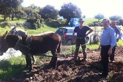 Δεν παίζεται ο κοντός έχει οργώσει κυριολεκτικά όλη την Αχαΐα....