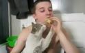 VIDEO: Γάτα ικετεύει το αφεντικό της για μια μπουκιά!