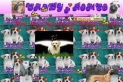 Τα πιο κακόγουστα site του διαδικτύου