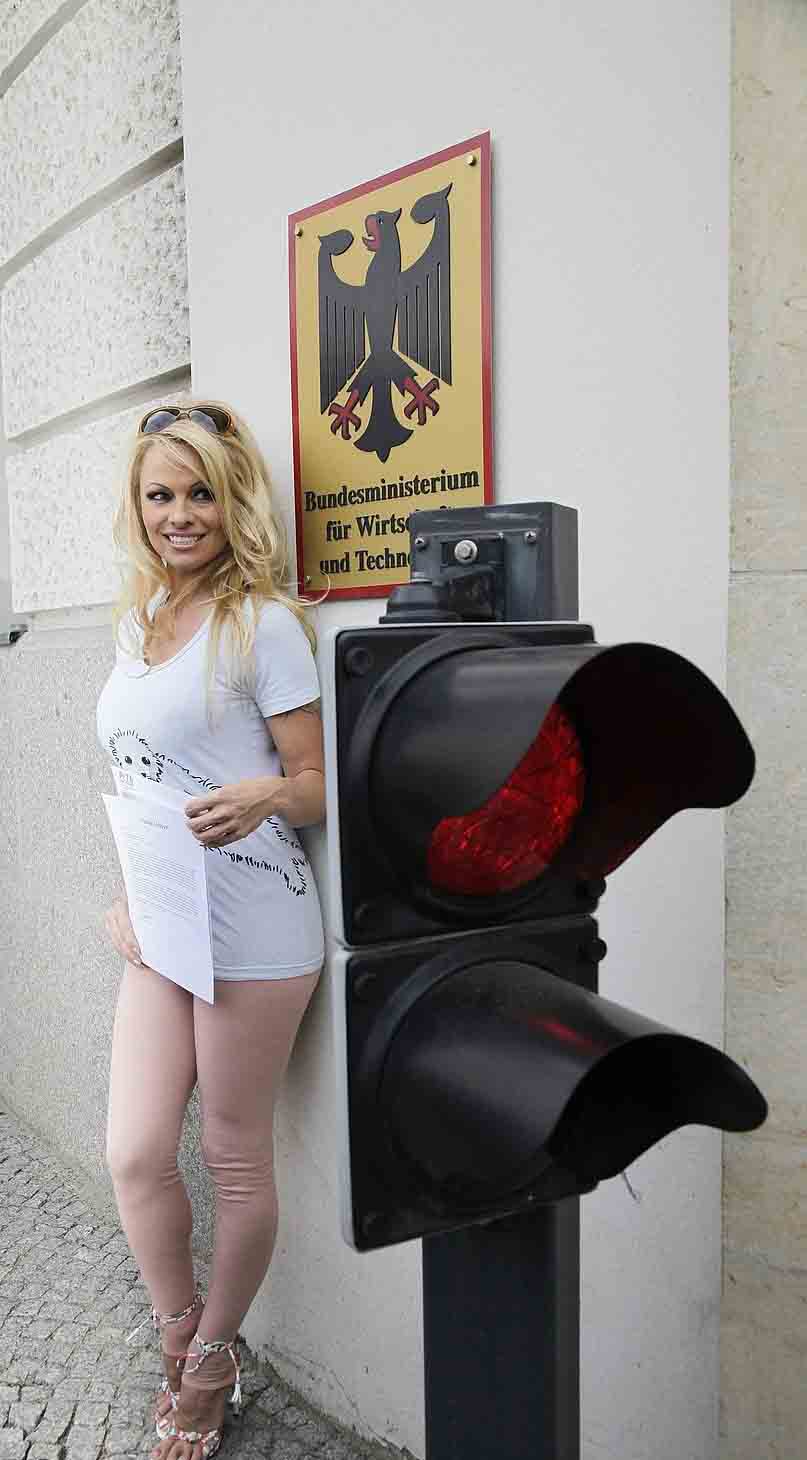 Πως έγινε έτσι η Pamela Anderson? (Photos) - Φωτογραφία 4