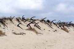 Ένα παράξενο «νεκροταφείο» για… άγκυρες!