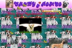 Τα πιο κακόγουστα site του διαδικτύου (pics)