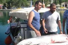 Έπιασαν ξιφία βάρους 100 κιλών στο Γαλαξίδι [εικόνες]