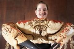 Τιτάνιο καβούρι μοιάζει να βγήκε από ταινία επιστημονικής φαντασίας!