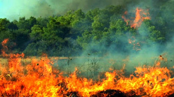 Αχαΐα-Τώρα: Φωτιά στο Γιαννισκάρι - Σε εξέλιξη το έργο της κατάσβεσης από την πυροσβεστική - Φωτογραφία 1