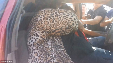Προσπάθησε να κλέψει αυτοκίνητο με τη μητέρα και το παιδί της μέσα και τον έκαναν ... μαύρο στο ξύλο! [photos + video] - Φωτογραφία 3