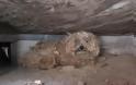 Σκύλος περίμενε για πάνω από ένα χρόνο το νεκρό αφεντικό του κάτω από ένα υπόστεγο [video + photos]