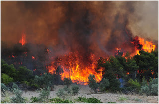 Ηλεία: Πυρκαγιά σε δάσος στο Λουκά Πηνείας - Φωτογραφία 1