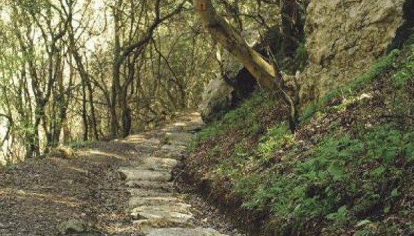 Μαγεύει το μονοπάτι του νερού στη Καβάλα - Εκπληκτικές φωτογραφίες απ' τον δρόμο που μεταφερόταν το νερό στην πόλη απ' το βουνό - Φωτογραφία 7