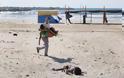 To διαρκές Ισραηλινό έγκλημα στη Γάζα και τα ενεργειακά κοιτάσματα