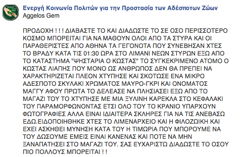 Σοκ στην Εύβοια - Ιδιοκτήτης ταβέρνας σκότωσε αδέσποτο με μία καρέκλα! - Φωτογραφία 3