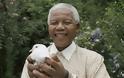 Παγκόσμια Ημέρα Nelson Mandela: Οι 11 σημαντικότεροι σταθμοί της ζωής του - Φωτογραφία 4