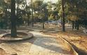 Πάτρα: Καθημερινός καθαρισμός από τα ξερά χόρτα στο Δασύλλιο