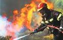 Διορίζονται 500 δόκιμοι πυροσβέστες
