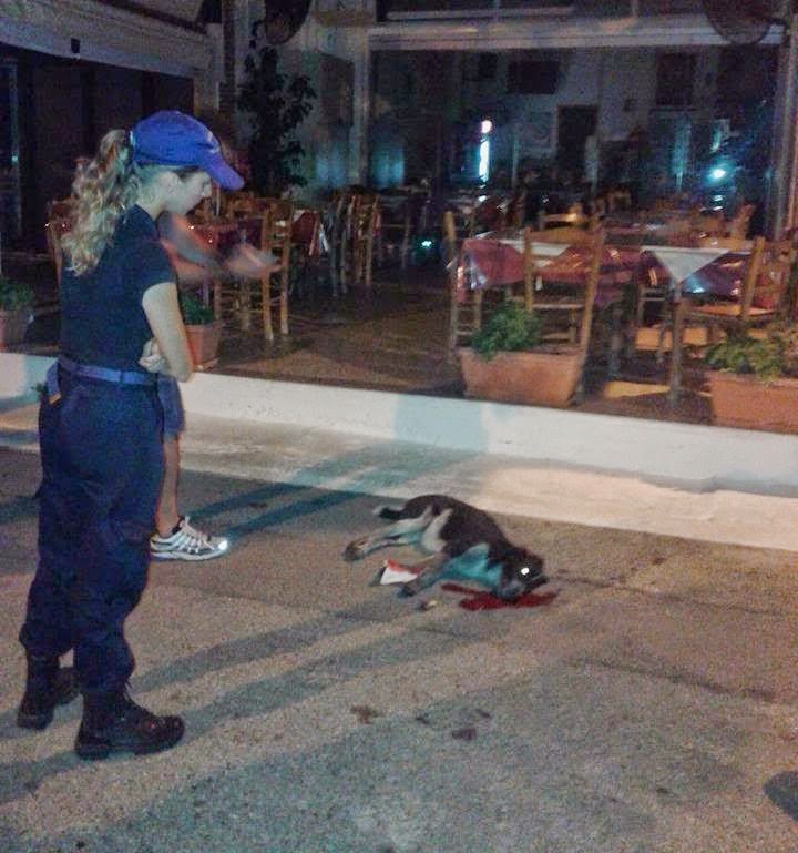 Η Ελεονώρα Μελέτη ξεσπά: Ντροπή και αίσχος! - Φωτογραφία 3