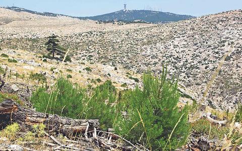 Η ζωή επιστρέφει στην Πάρνηθα - Φωτογραφία 2