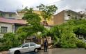 Κοζάνη: Έπεσε δέντρο από τον αέρα στην οδό 3ης Σεπτεμβρίου [photos]