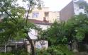 Κοζάνη: Έπεσε δέντρο από τον αέρα στην οδό 3ης Σεπτεμβρίου [photos] - Φωτογραφία 5