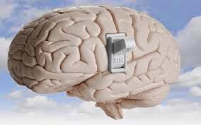 Ερευνητές βρήκαν τον διακόπτη on/off στον εγκέφαλο για την ανθρώπινη συνείδηση - Φωτογραφία 1