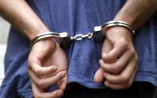Συνέλαβαν 20χρονο για κλοπές στα Άνω Λιόσια - Φωτογραφία 1