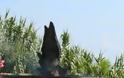 Αγρίνιο: Κυνηγοί χαλκού έκλεψαν τον μπρούτζινο βωμό μνημείου - Φωτογραφία 3