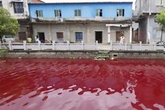 Το... ματωμένο ποτάμι - Η μυστηριώδης αλλαγή στο χρώμα του νερού που τρόμαξε τους κατοίκους